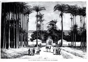 Place des Palmistes, Cayenne, Gujana autorstwa Edouard Riou