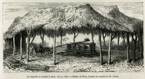 Trapiche, czyli młynek do cukru do mielenia laski w Panche (Kolumbia), rysunek Riou, ilustrujący historię Equinoxiale America (Kolumbia, Ekwador, Peru), w latach 1875-1876, autorstwa Ed. Andre, za misję podróżniczą od rządu francuskiego. Grawerowanie w Le  autorstwa Edouard Riou