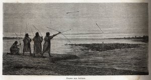 Polowanie na żółwie wśród indiańskich konibosów z Peru, narysowane przez Riou, aby zilustrować podróż P. Marcoya w latach 1848-1860 z Oceanu Spokojnego do Oceanu Atlantyckiego. Grawerowanie w „”Le tour du monde””, pod redakcją Edouarda Chartona autorstwa Edouard Riou