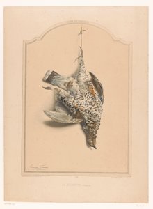 Martwa samica ptactwa obrożowego wisi na jednej nodze La gélinotte (kobieta) (tytuł na obiekcie) Muzeum Łowcy (tytuł serii) Musée du chasseur (tytuł serii na obiekcie) autorstwa Edouard Travies