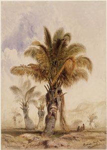  autorstwa Eduard Hildebrandt