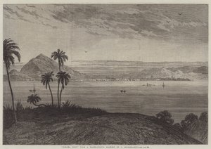 Port Panama