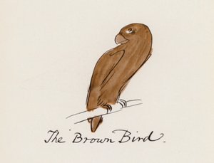Edward Lear, Księga ptaków: Brązowy ptak (kolor lito)