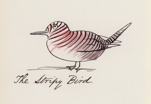 Edward Lear, Ptasia księga: Pasiasty ptak (kolor lito)