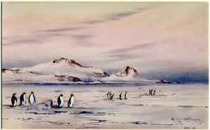 The Discovery Winter Quarters, c.1901-04 (wc na papierze)