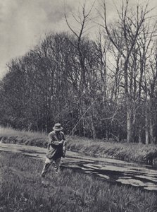 Wczesna wiosna na rzece Kennet (zdjęcie czarno-białe) autorstwa Edward Alfred Barton