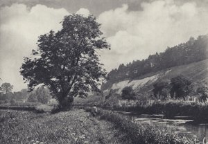 Wielki jesion na głównym torze, Leckford (zdjęcie czarno-białe) autorstwa Edward Alfred Barton