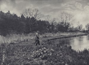 Pierwsze wiosenne Kingcups (zdjęcie czarno-białe) autorstwa Edward Alfred Barton