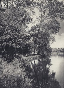 Pod wielkimi topolami na Houghton Water (zdjęcie czarno-białe)