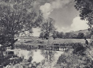 Łąki wodne dolnego Itchen (zdjęcie czarno-białe) autorstwa Edward Alfred Barton