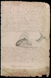 Płyta z dziennika Edwarda Barlowa z jego życia na morzu na statkach królewskich, Indiach Wschodnich i Zachodnich oraz innych statkach handlowych w latach 1659-1703. autorstwa Edward Barlow