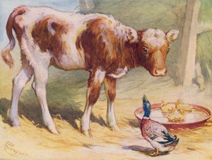 Cielę i kaczki (kolor lito)