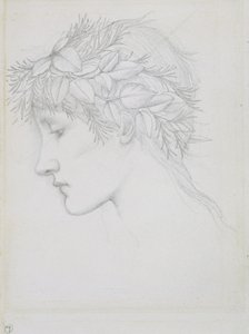 Głowa zwieńczona liśćmi, ok. 1897 (ołówek na papierze) autorstwa Edward Coley Burne Jones
