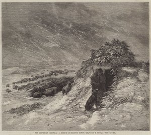 Boże Narodzenie Pasterza, szkic o Brighton Downs