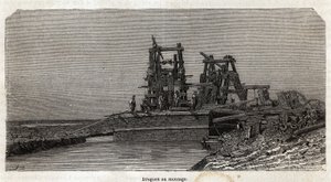 Dragi na Kanale Sueskim, rysunek Greneta, ilustrujący wycieczkę do Kanału Sueskiego w 1862 roku przez Paula Merruau. Grawerowanie w „”Le tour du monde””, pod redakcją Edouarda Chartona autorstwa Edward Grenet