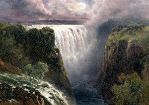 Widok na Wodospady Wiktorii