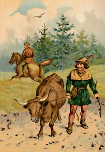 Hans i jego krowa, 1901