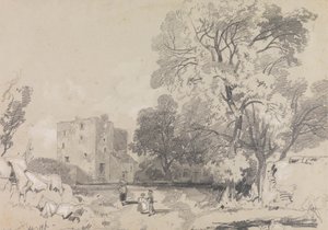 Zrujnowany dom z wieżą autorstwa Edward Lear