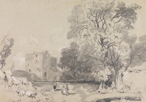 Zrujnowany dom z wieżą autorstwa Edward Lear