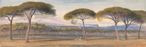 Widok na las sosnowy nad Cannes autorstwa Edward Lear