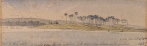 Wyspa Dhoura autorstwa Edward Lear