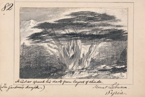 Ilustracja do "Córki ogrodnika" Tennysona: "Córka ogrodnika". Góra Liban, Syria - "Cedr rozpostarł swoje ciemnozielone warstwy cienia autorstwa Edward Lear