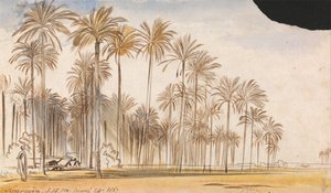 Kourayim autorstwa Edward Lear