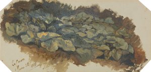 La Cava autorstwa Edward Lear