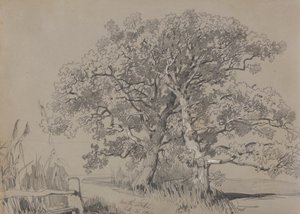 Północny Stoke. 21 października 1834. autorstwa Edward Lear