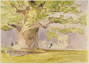 W drodze, dwie godziny od Tepelene autorstwa Edward Lear