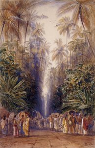 W drodze do Galle, Cejlon autorstwa Edward Lear