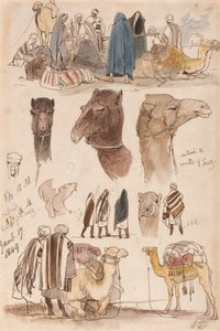 Poza murami Suezu, 8:30 rano, 17 stycznia 1849 r. (54) autorstwa Edward Lear