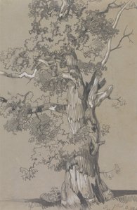 Parham, 13 października 1834 autorstwa Edward Lear