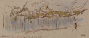 Pettenasco, Jezioro Orta autorstwa Edward Lear