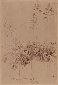 Reggio autorstwa Edward Lear
