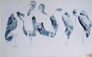 Badania bocianów autorstwa Edward Lear