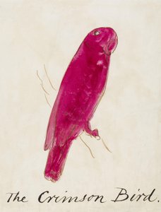 Karmazynowy ptak, z Szesnastu rysunków komiksowych ptaków (pióro i tusz, wc na papierze) autorstwa Edward Lear