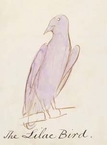 Ptak bzu, z Szesnastu rysunków komiksowych ptaków (pióro i tusz, wc na papierze) autorstwa Edward Lear