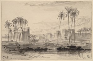 Teby autorstwa Edward Lear