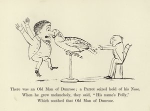 Był tam Stary Człowiek z Dunrose; papuga chwyciła go za nos autorstwa Edward Lear