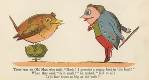 Był tam Stary Człowiek, który powiedział: „Cicho! Widzę młodego ptaka w tym krzaku!”, z „Księgi bzdur”, wydanej przez Frederick Warne and Co., Londyn, ok. 1875