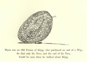 Był stary człowiek Brigg, który kupił całą perukę autorstwa Edward Lear