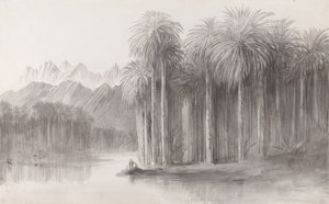 Wady Feiran, Półwysep Synaj autorstwa Edward Lear