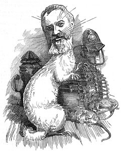 Adolf „Dolly” Williamson