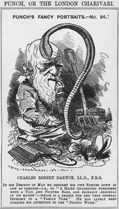 Karol Darwin, fantazyjne portrety Puncha, nr 54, ilustracja z „Puncha” lub „Londyńskiego Charivari” autorstwa Edward Linley (after) Sambourne