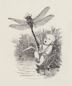 Ilustracja do The Water-Babies autorstwa Charlesa Kingsleya (grafika) autorstwa Edward Linley (after) Sambourne