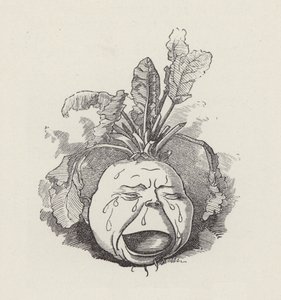 Ilustracja do The Water-Babies autorstwa Charlesa Kingsleya (grafika) autorstwa Edward Linley (after) Sambourne