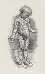 Ilustracja do The Water-Babies autorstwa Charlesa Kingsleya (grafika) autorstwa Edward Linley (after) Sambourne