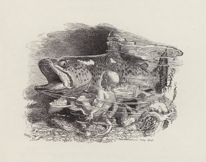 Ilustracja do The Water-Babies autorstwa Charlesa Kingsleya (grafika) autorstwa Edward Linley (after) Sambourne