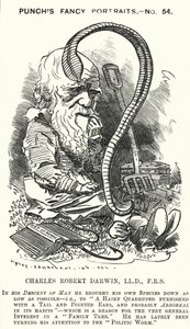 Karykatura dziurkacza: Charles Darwin, angielski przyrodnik i biolog (grafika)